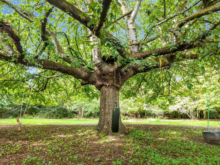 13 Edievale Road Tapanui_13