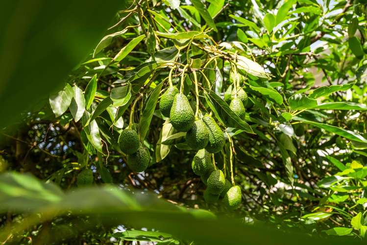 12 Grey Street Regent_23