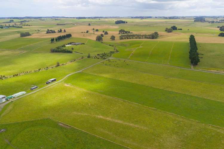 1850 Wellington Road Marton_3