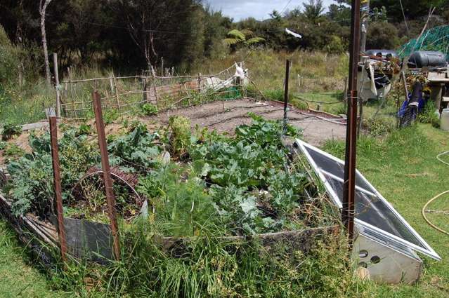 64 Gray Road Great Barrier Island (Aotea Island)_3