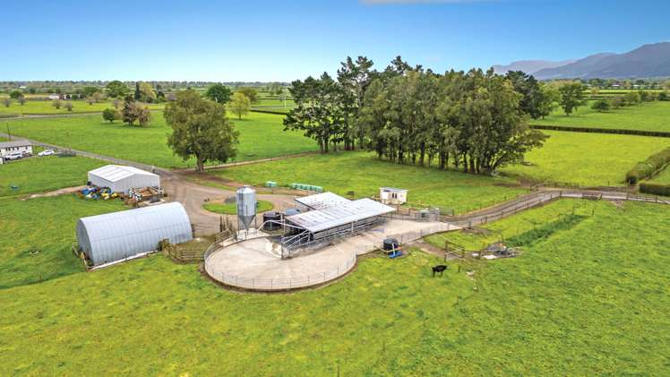 696a Tower Road Matamata_3