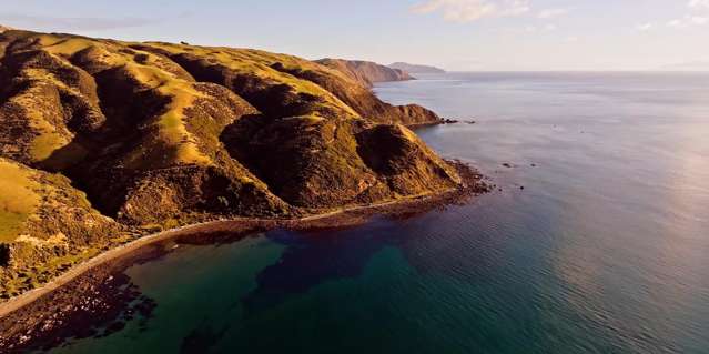 320-380 Pikarere Street Porirua_2