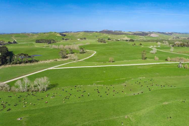 392 and 421 Journeys End Tapora_6