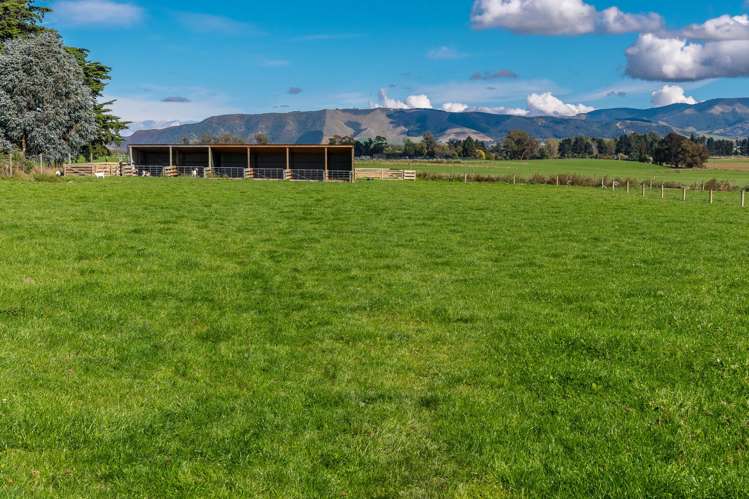 302 Timaru Road Waimate_23