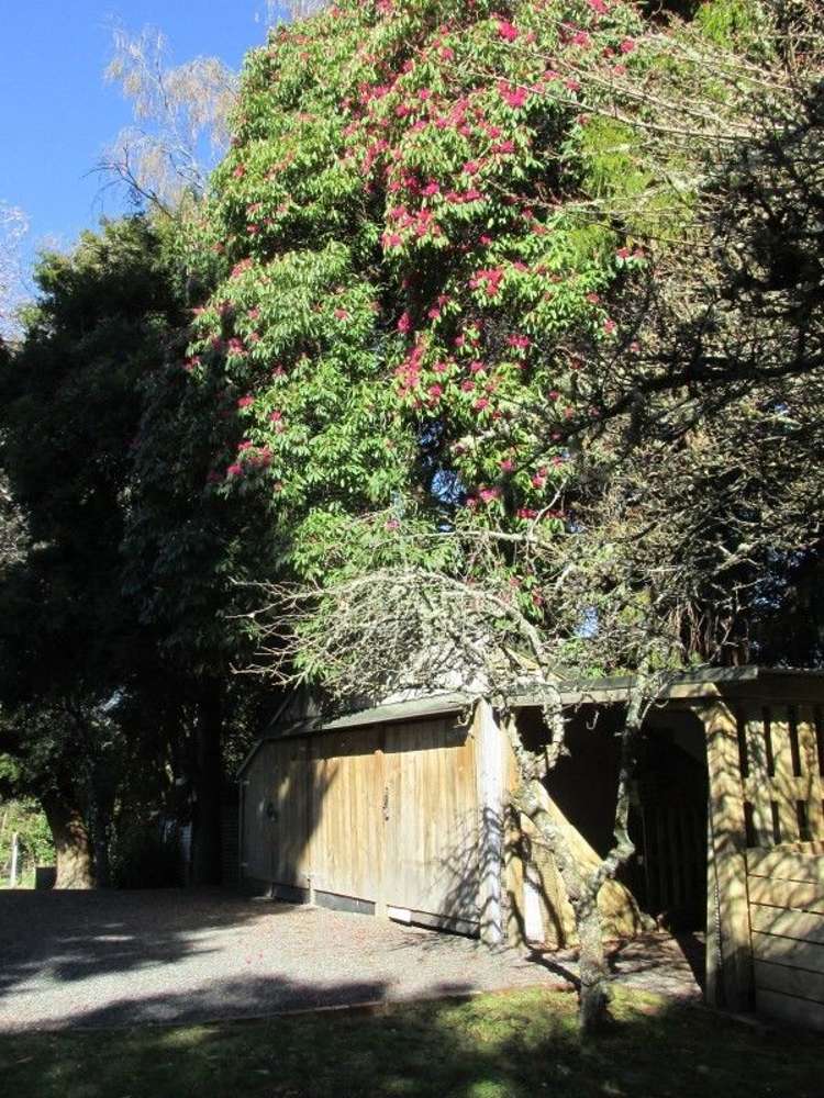 28 Okioi Street Owhango_16