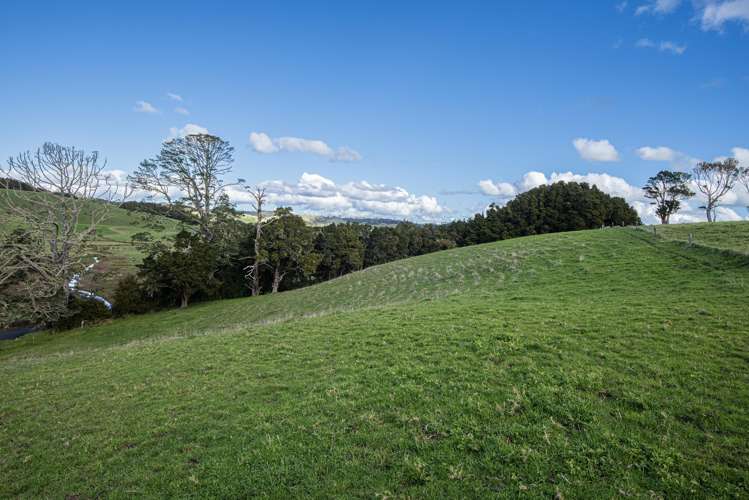 1043 Whananaki North Road Opuawhanga_26