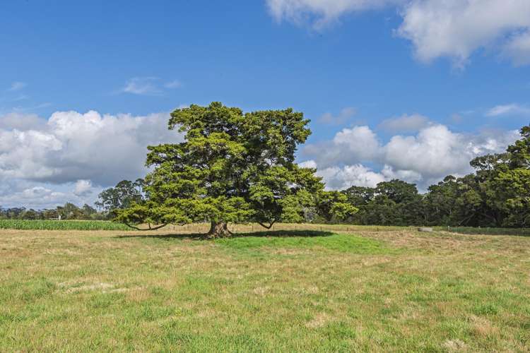 85-87 Old North Road Whakapara_24