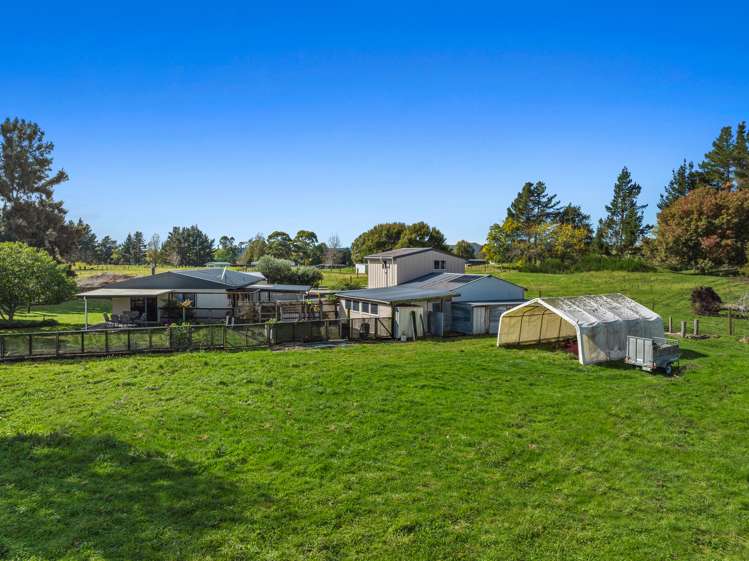 50a Lambert Road Putauaki_8
