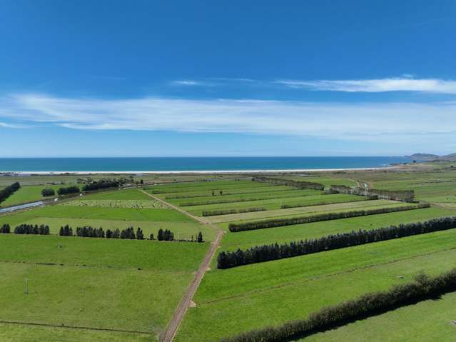 Attractive Dairy Opportunity by the Beach
