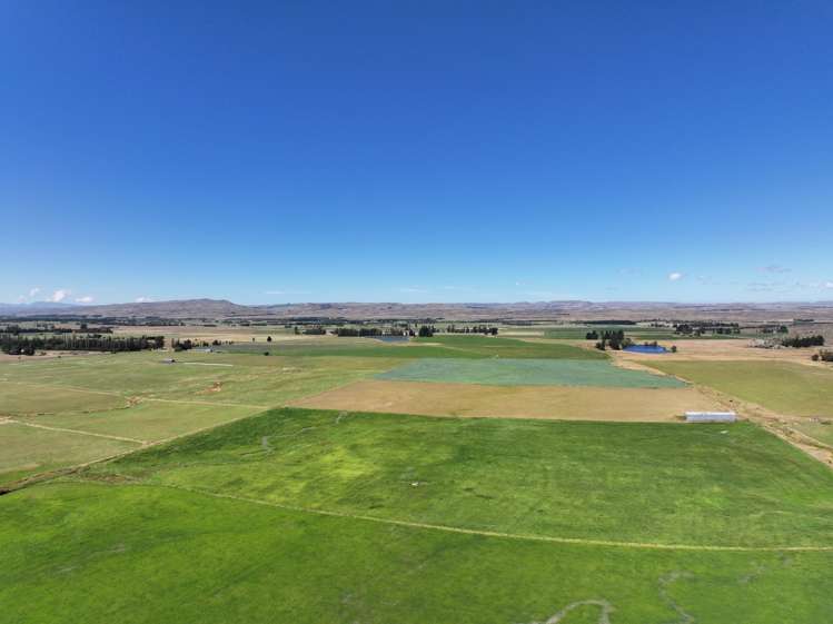 343 McHardy Road Middlemarch_21