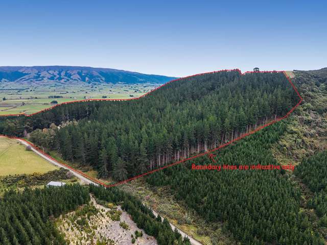 109 Mclaren Gully Road Allanton_2