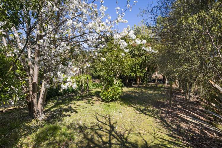 443 Reu Reu Road Halcombe_8