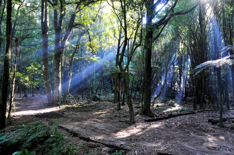 805 Te Waerenga Road Hamurana_25