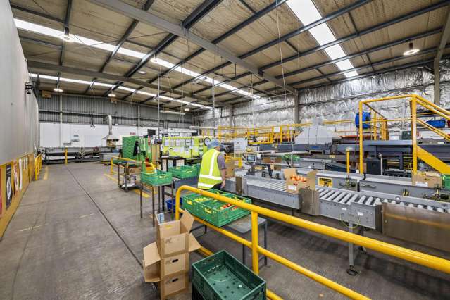 42 Favona Road Favona_4