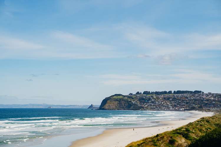 246 Forbury Road Saint Clair_11