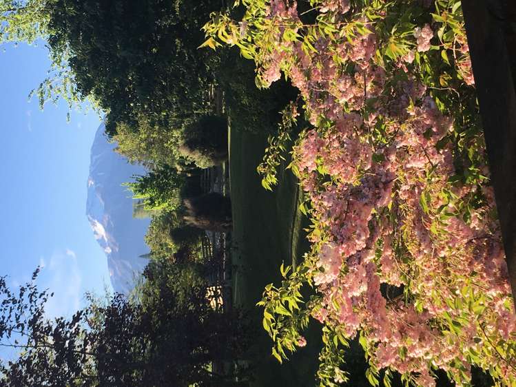 149 Forest Drive Methven_5