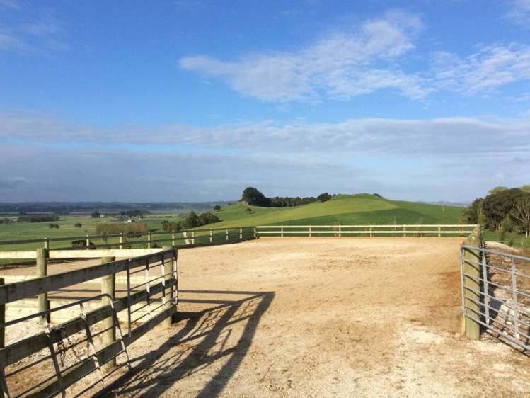 78 Morrison Road Arapohue_3