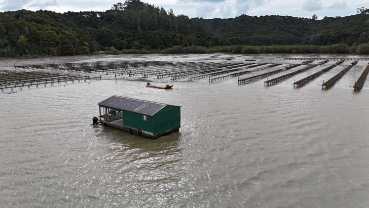 Waikare Inlet Opua_14