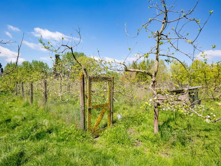 398 Rosedale Road Upper Moutere_19