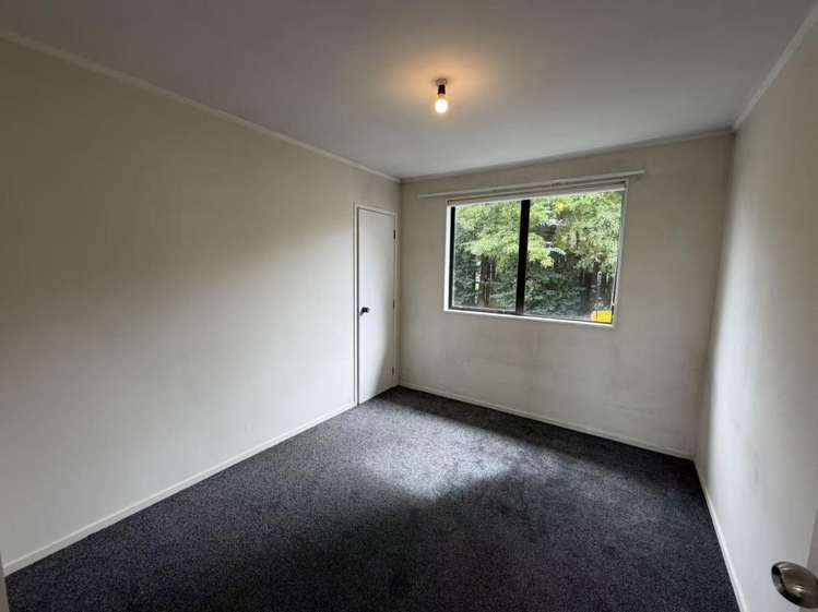 27H Rehia Road Massey_12