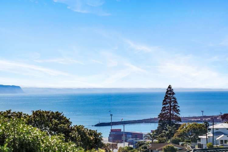 19 Roslyn Road Bluff Hill_23