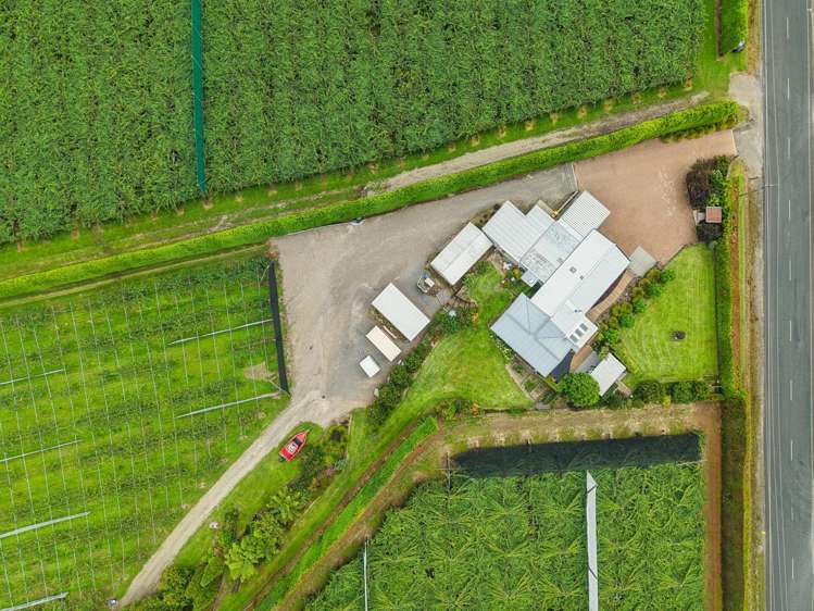 447 No2 Road Te Puke_28