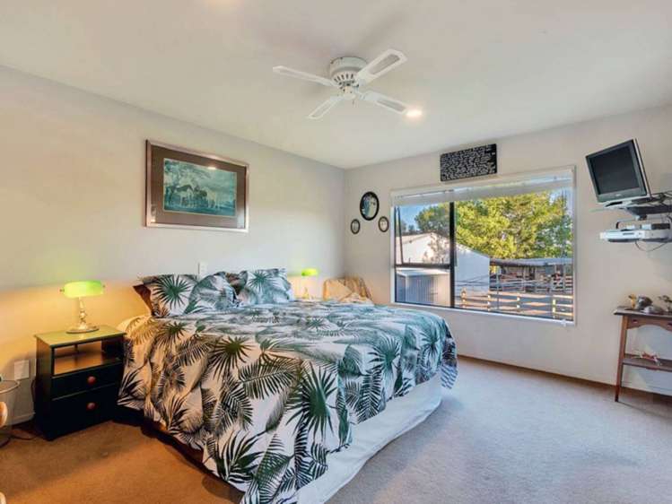 151 Top Road Dairy Flat_8