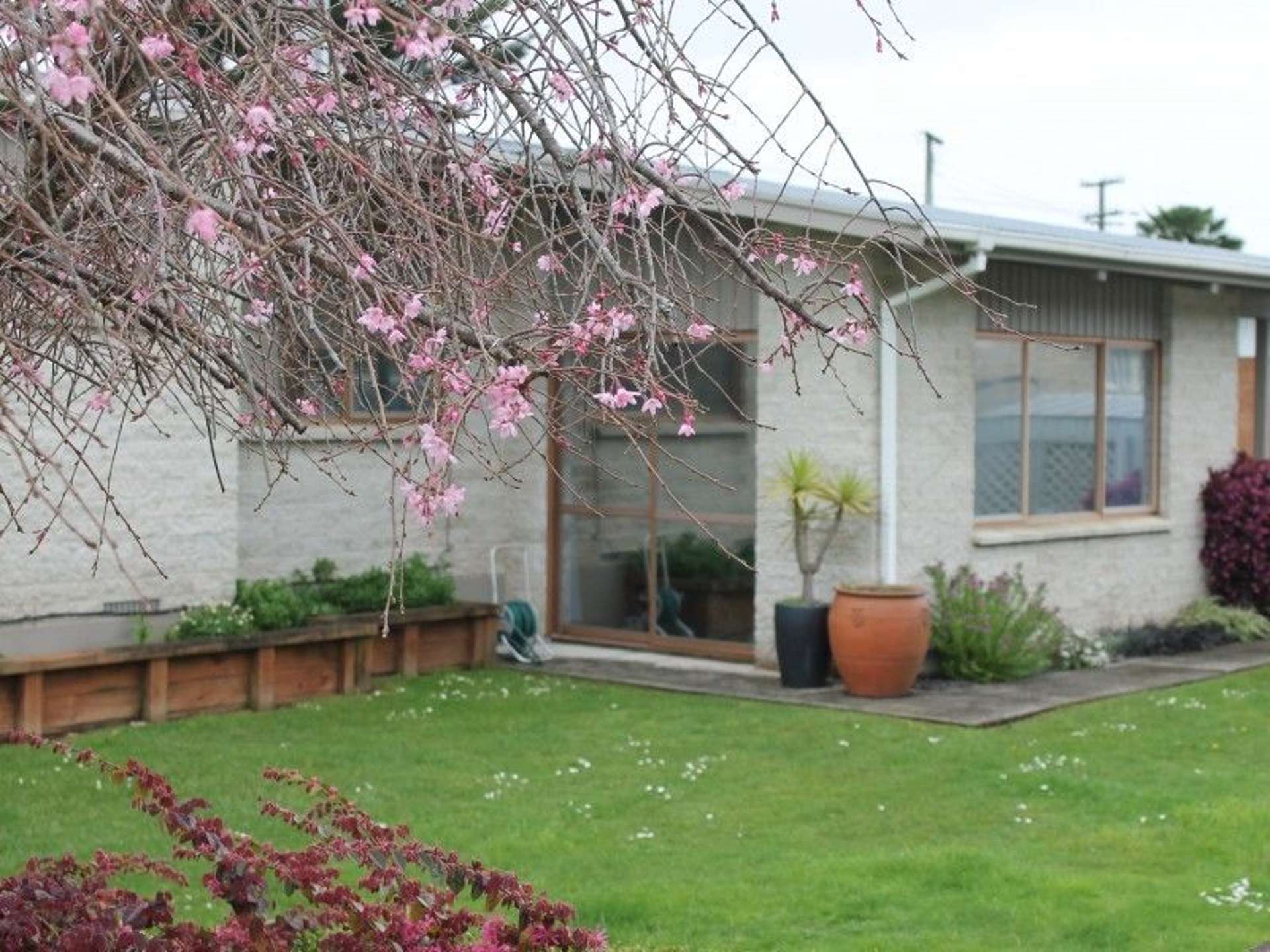 6 Haines Terrace Te Kuiti_0