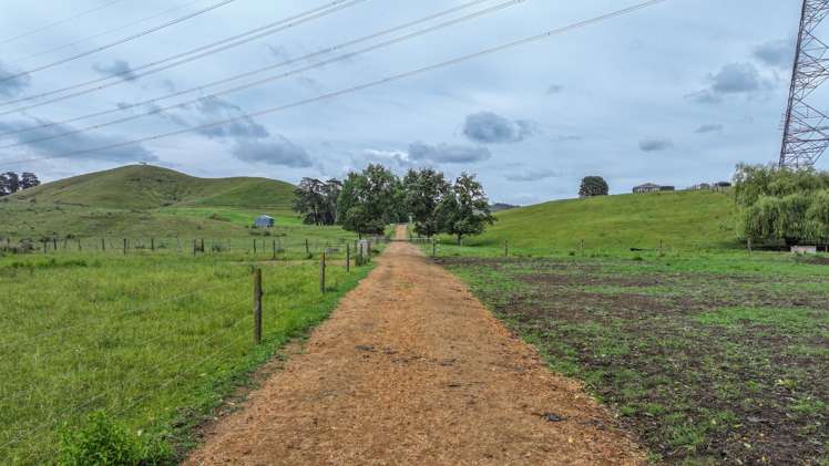 880 Kopuku Road Maramarua Forest_10