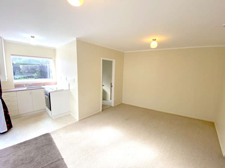 35A Swan Crescent Pakuranga_15