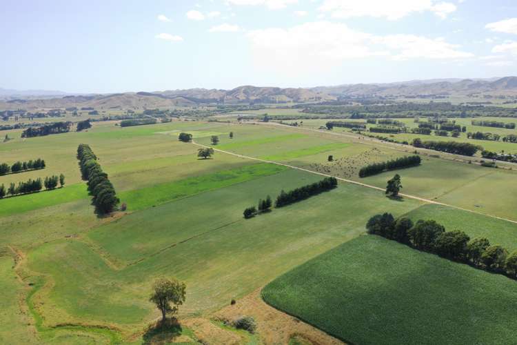 80922 State Highway 2 Pahiatua_8