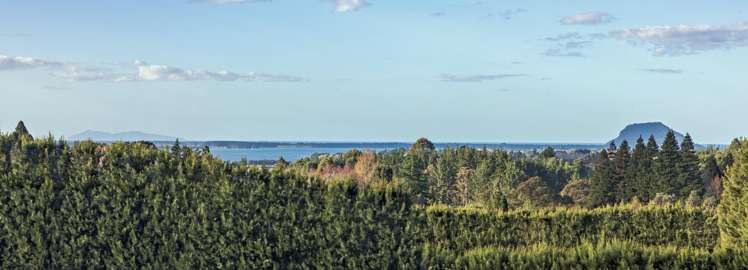 38 Vernon Road Te Puna_26