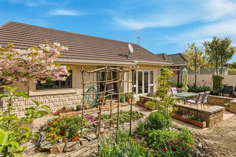 53 Grange Street Hillsborough_18