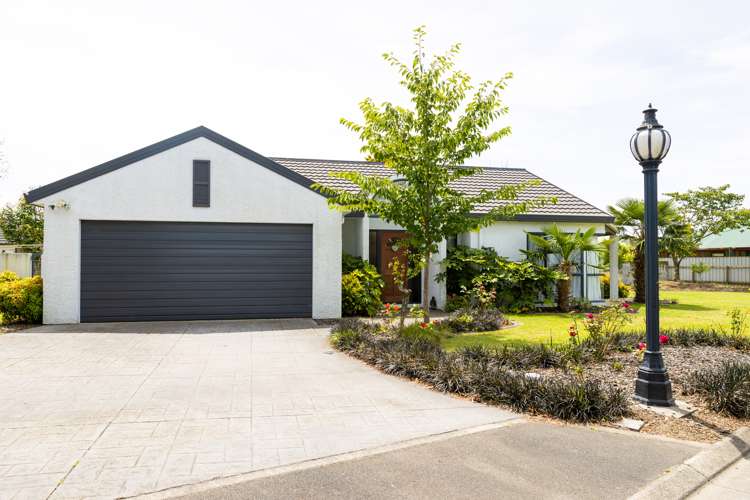 806e Williams Street Mahora_11