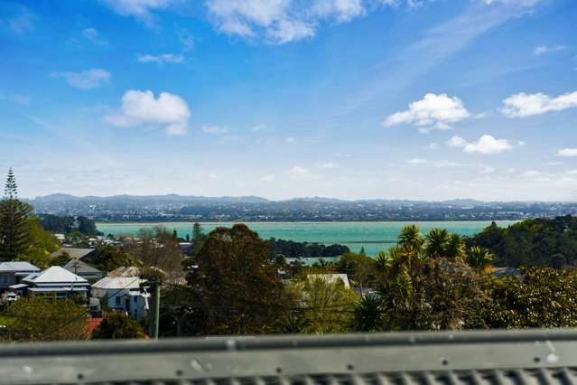 30 Lincoln Street Ponsonby_4