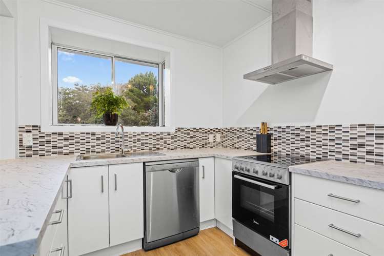 9 Tuatara Drive Kamo_6