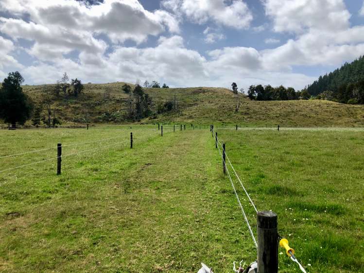 3609 State Highway 10 Kaeo_12