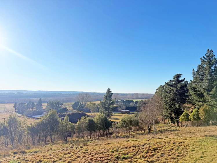 773 Mount Thomas Road Fernside_27