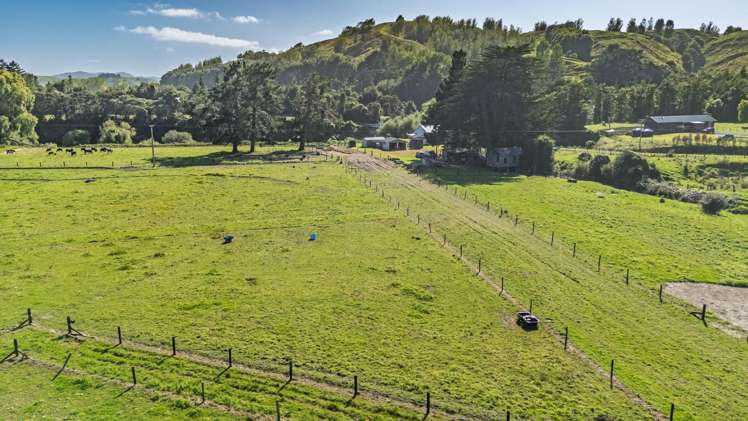 808 Pahiatua Pongaroa Road Paihatua_6