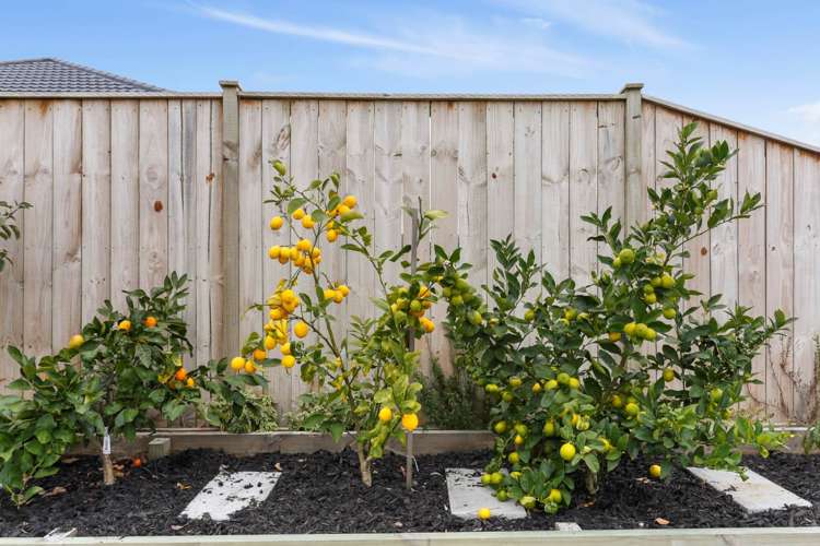 12 Kauri Grove Drive Kumeu_22