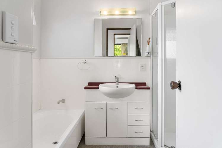 10B Tynan Street Te Puke_6