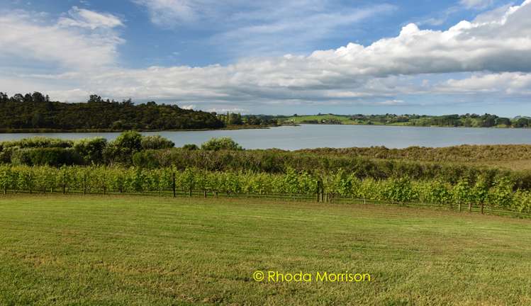 245 Metcalfe Road Matakohe_1