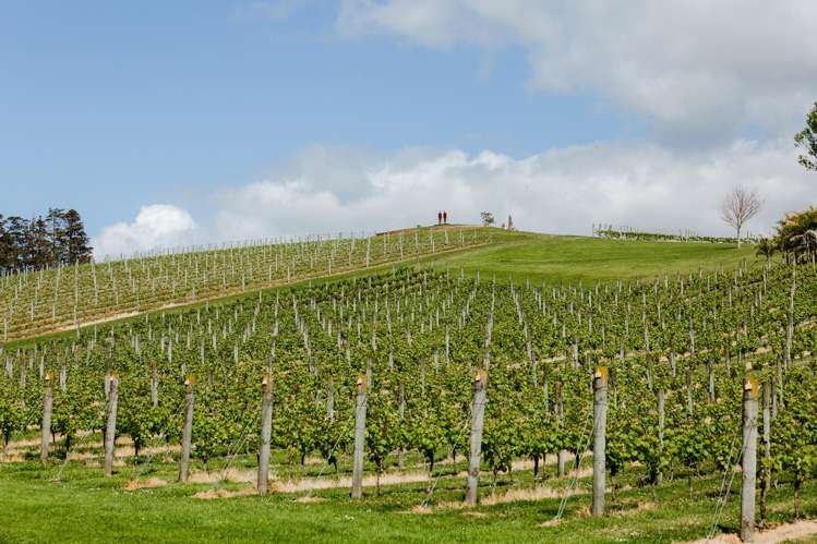 5 Kohuwai Way Warkworth_24