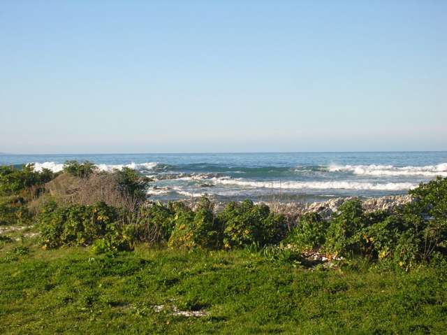 41c Avoca Street Kaikoura_4