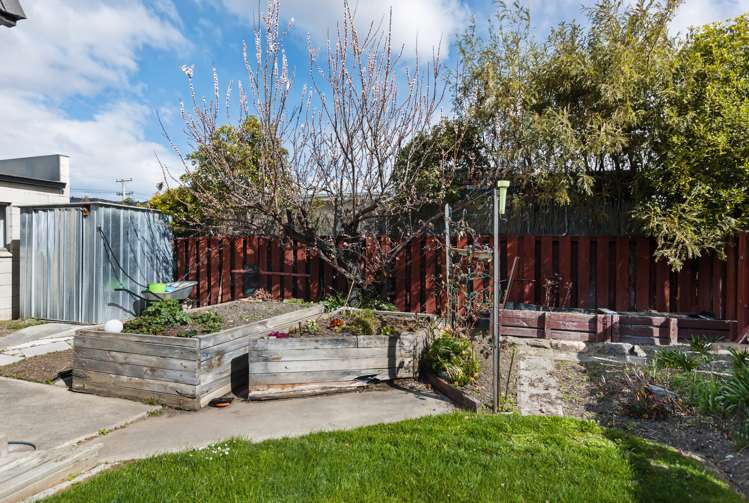 8a Shannon Street Alexandra_13