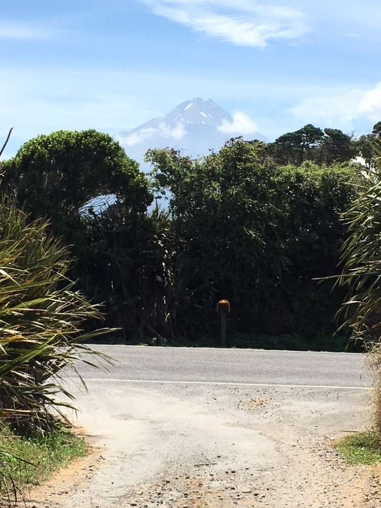 1703 Eltham Road Riverlea_23