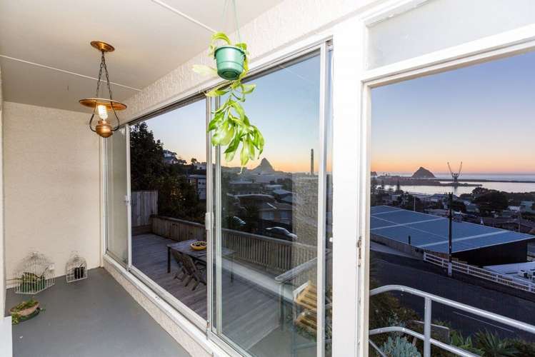 9 South Road Moturoa_5