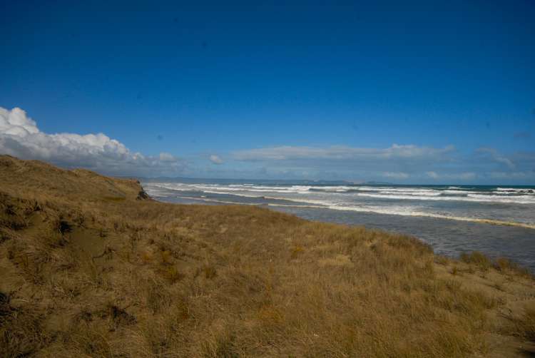 498 West Coast Road Awanui_25