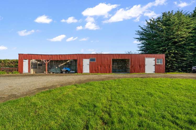 49 Roslyn Road Roslyn Bush_29