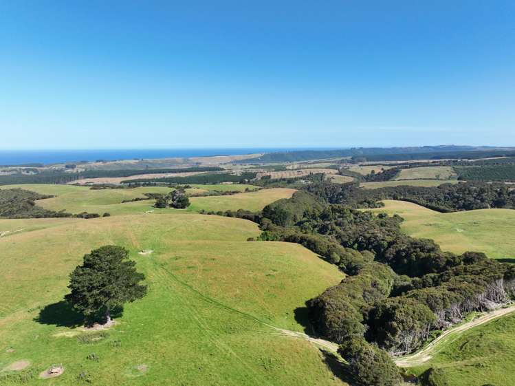 125 Sawmill Road Taieri Beach_29